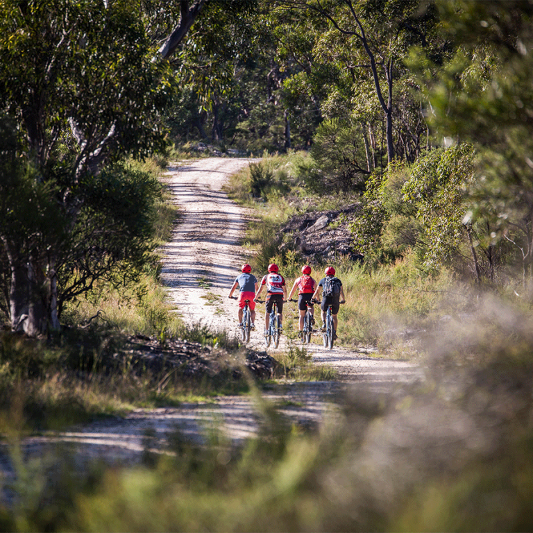 The Oaks Trail Woodford to Glenbrook Blue Mountains Bike