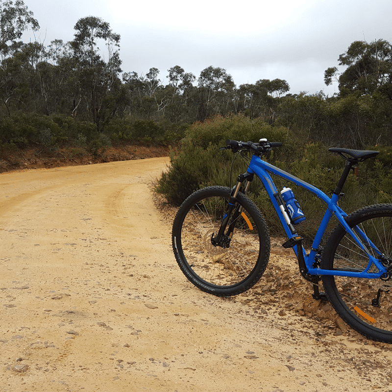 Anvil Rock with Perrys Lookdown Trail Blue Mountains Bike