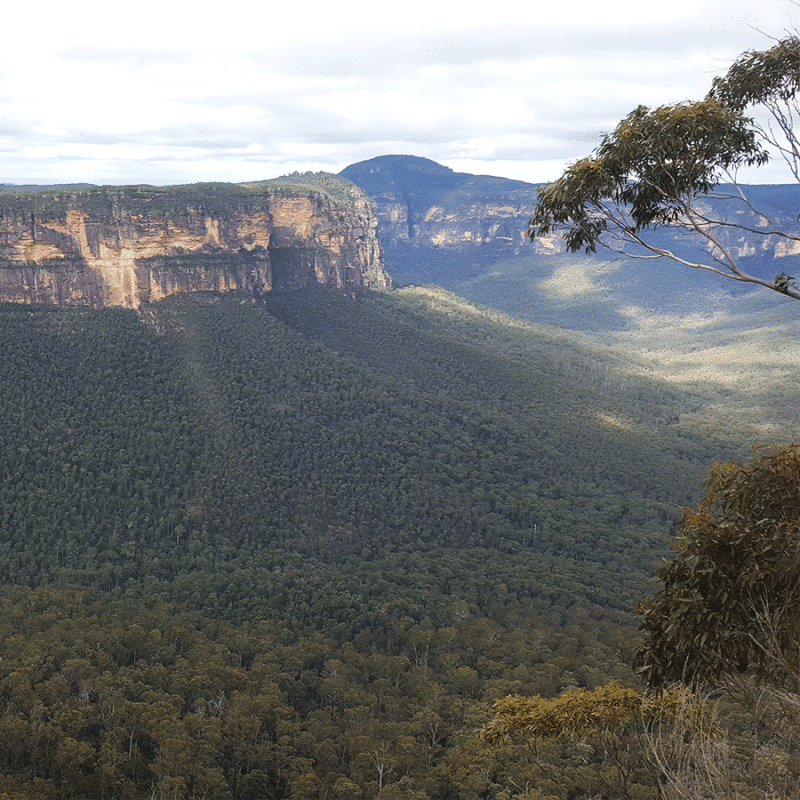 Anvil Rock with Perrys Lookdown Trail Blue Mountains Bike